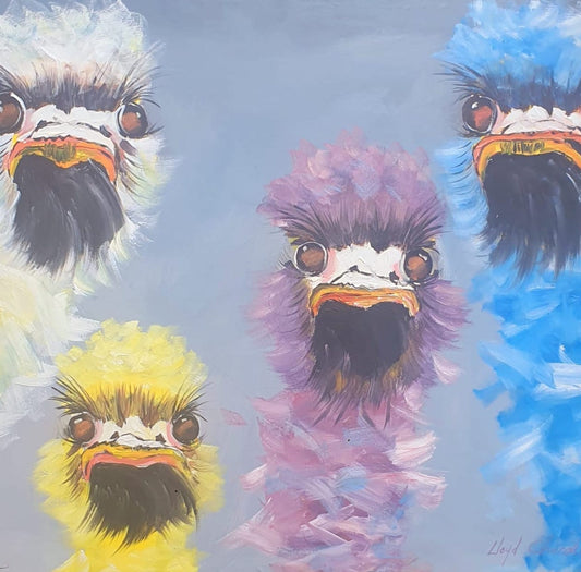 Ostriches